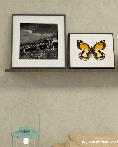 地球梦水性硅藻泥-清水混凝土功能介绍