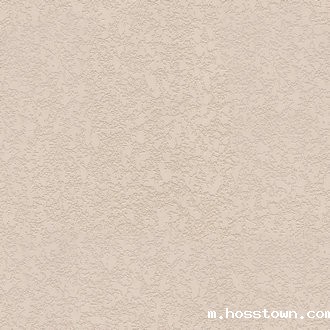 硅藻泥弹涂-贴图下载