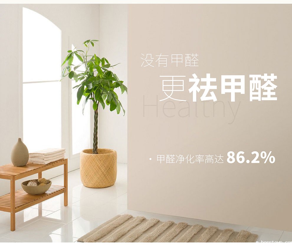 硅藻泥浮雕(水性/干粉)