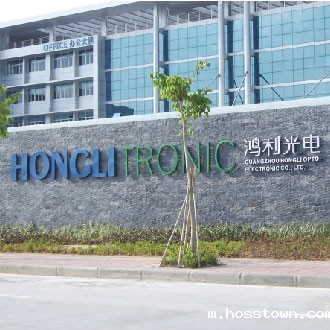 鸿利光电-真石漆