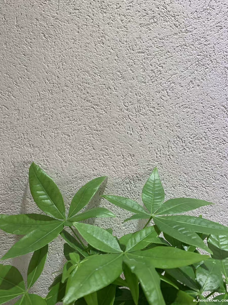 taptap点点官网入口雅晶石 内附施工视频,史上最全的雅晶石全攻略收录