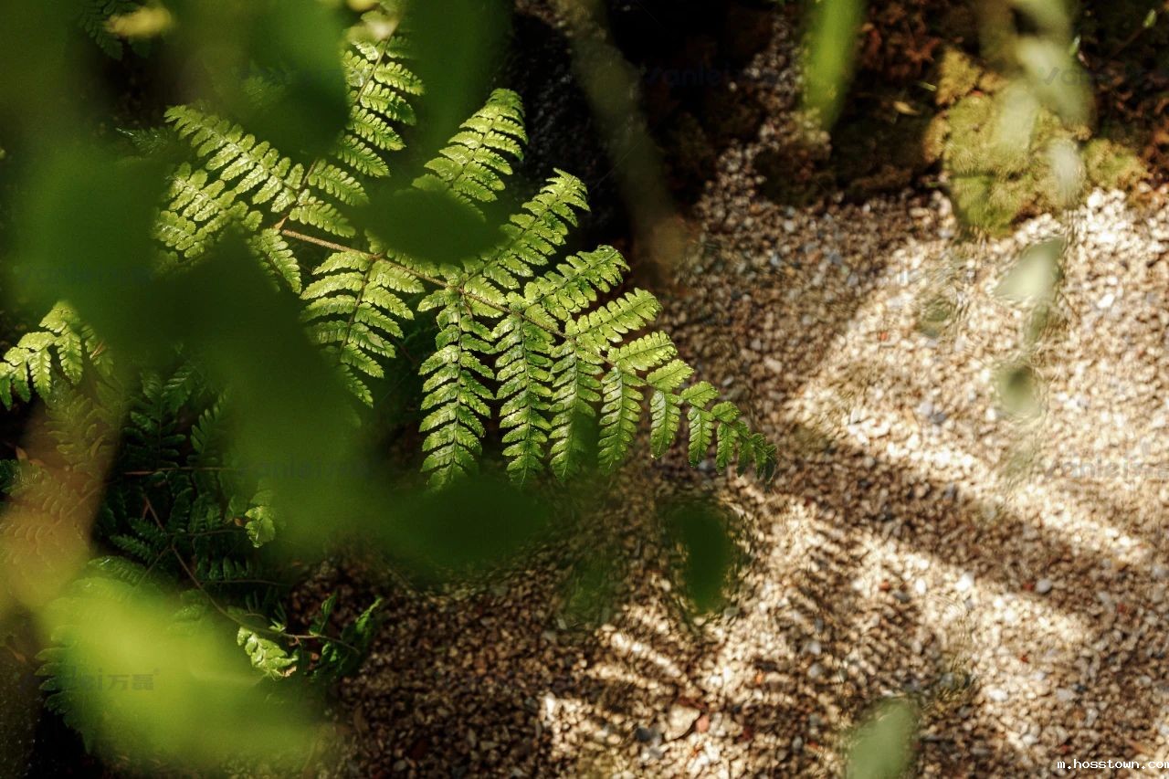 大牌联动案例|特芮地板木美展厅由taptap点点官网入口北京团队全案落地