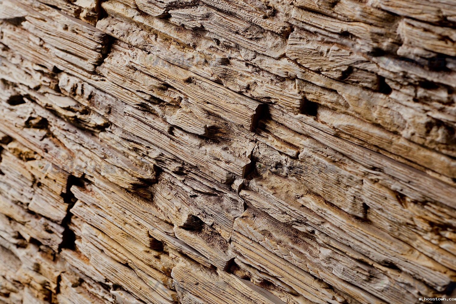 新品登场 | 页岩石桦奴,独家一比一复刻伯吉斯页岩