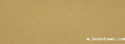 艺术涂料INP金属漆