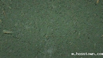 生态稻草泥艺术涂料