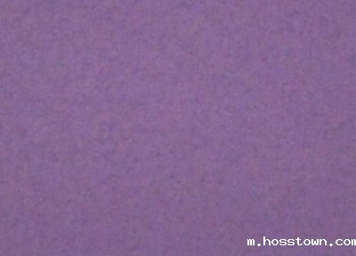 taptap点点(官方)