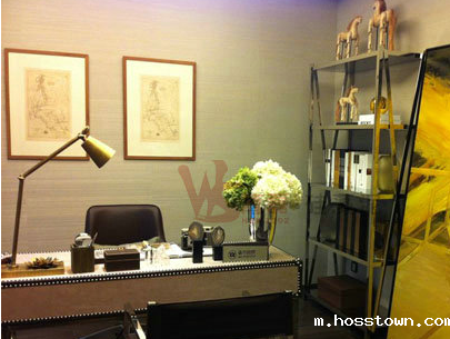  硅藻泥背景墙效果图_书房（2）