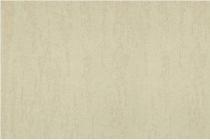 水性硅藻泥-米洞石TR+E8A