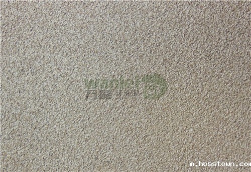 硅藻泥-海藻灰泥