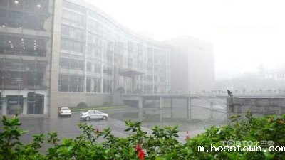 惊蛰过，春雨至，硅藻泥让你告别湿辘辘