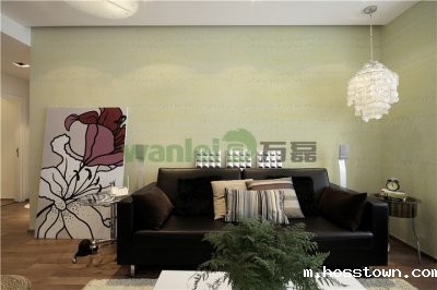 硅藻泥背景墙，一道生命的防火墙