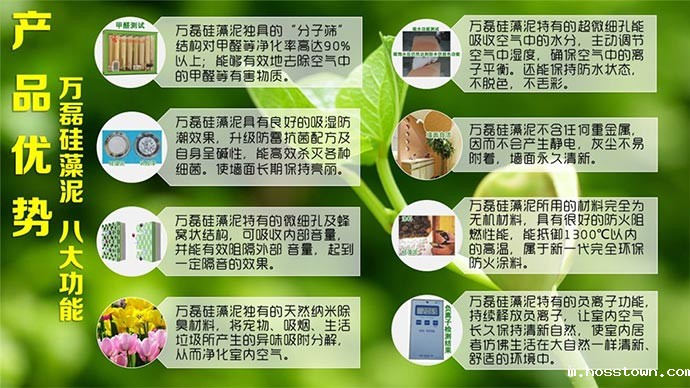 硅藻泥优势 硅藻泥优势