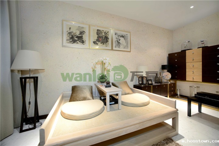 硅藻泥墙面 硅藻泥墙面