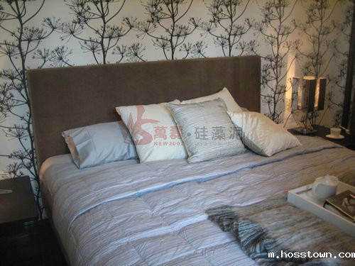 硅藻泥印花背景墙