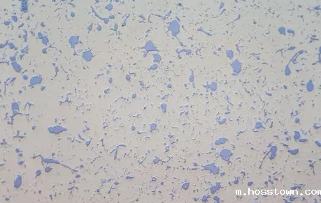 佛山taptap点点官网入口品牌价值非常适合硅藻泥加盟人群