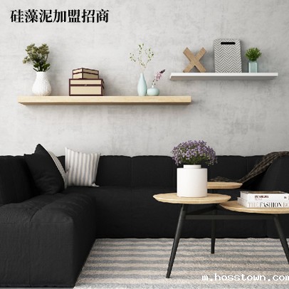 佛山硅藻泥厂家实力加盟 硅藻泥加盟招商