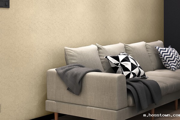 最近打算找硅藻泥投资项目 哪个品牌好