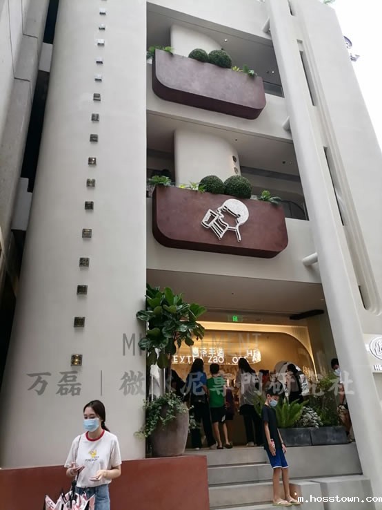 taptap点点官网入口taptap下载官服正版案例 | 集现代元素与东方茶韵的喜茶手作